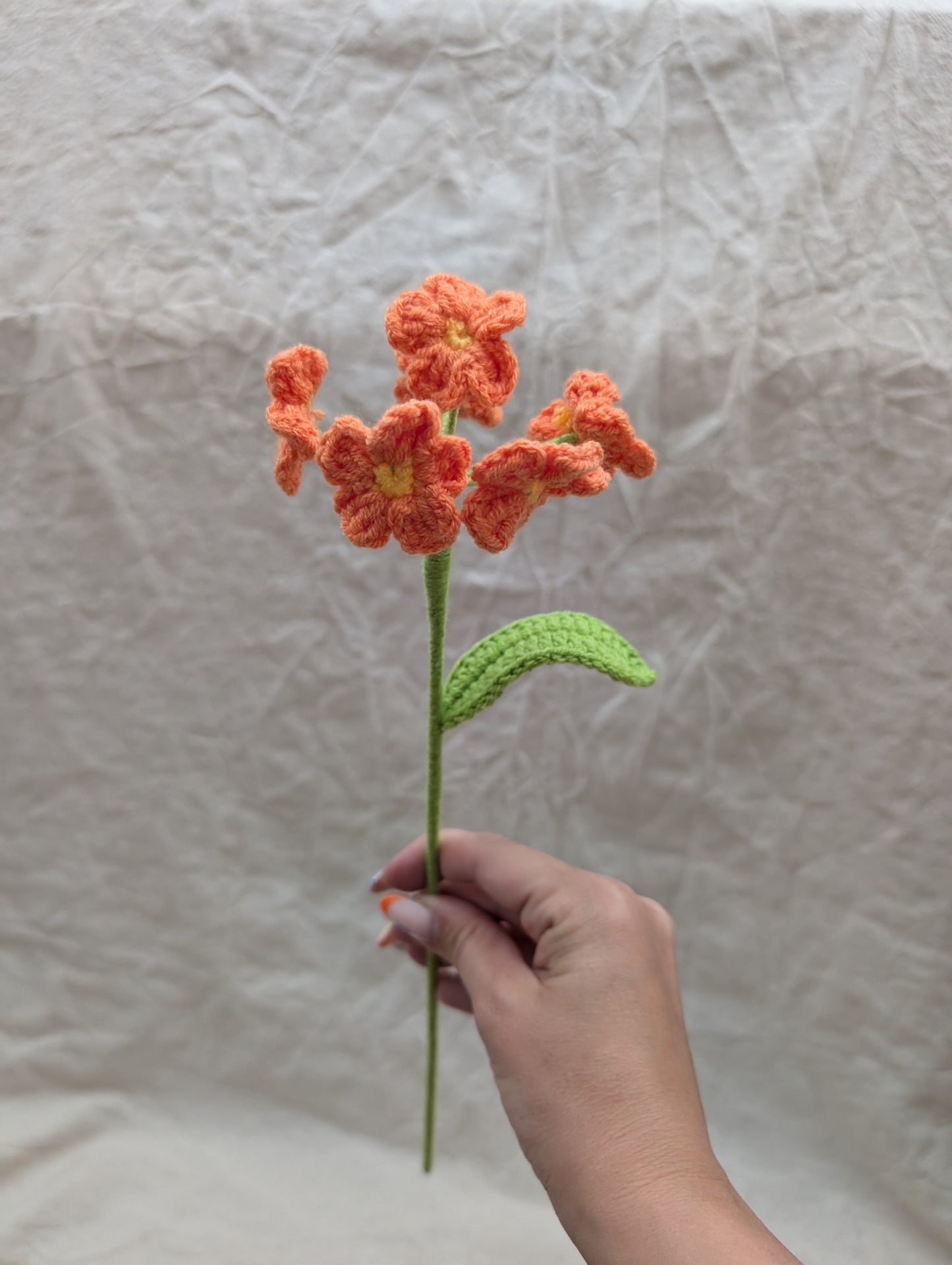 Forget-me-nots