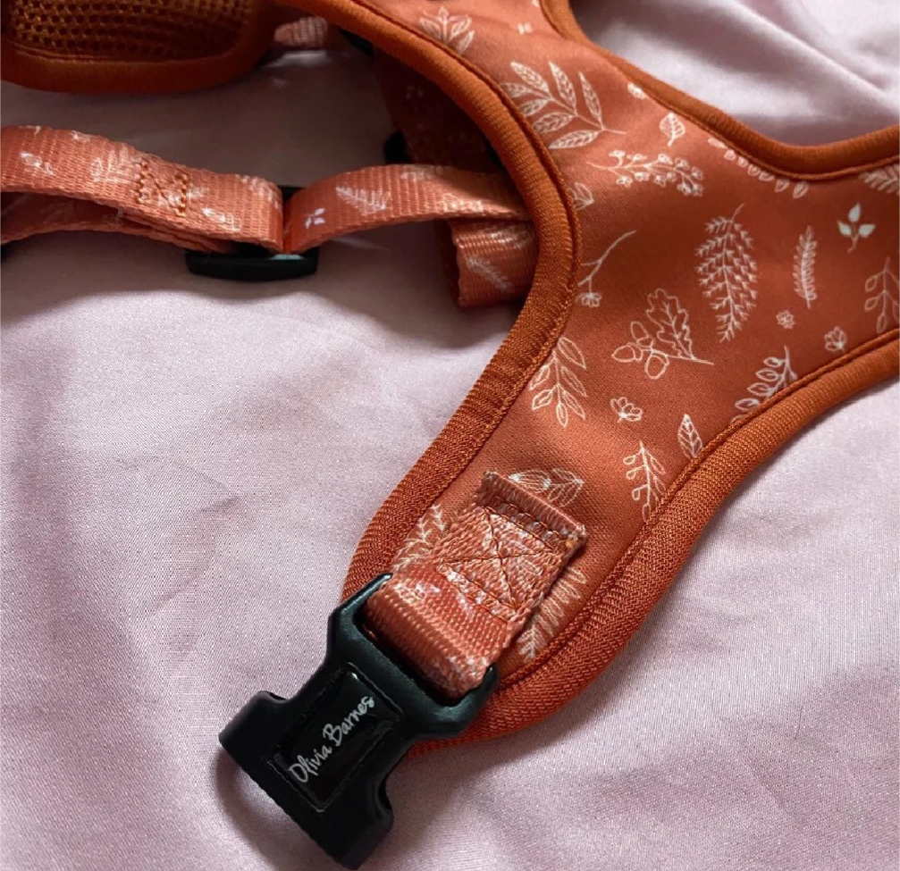 Botanical Gardens Adjustable Harness