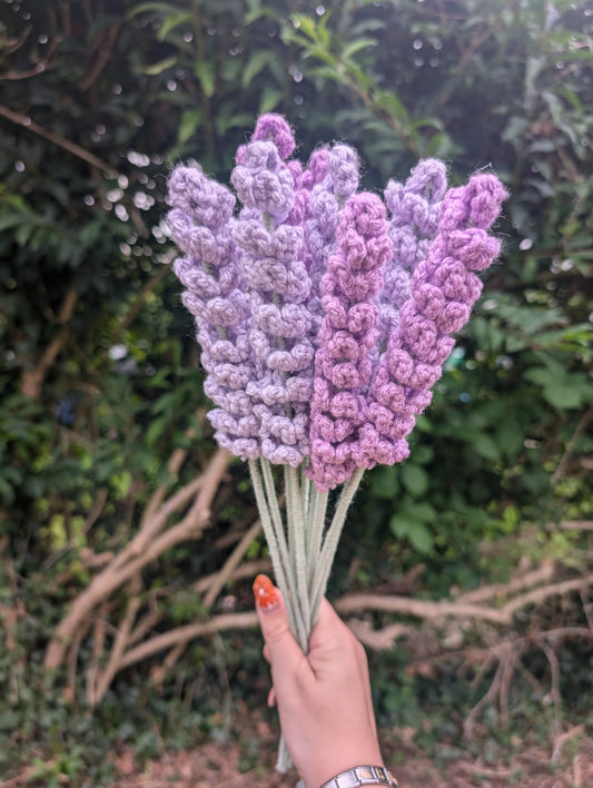 Lavender