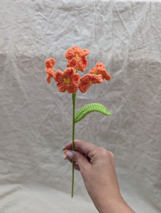 Forget-me-nots