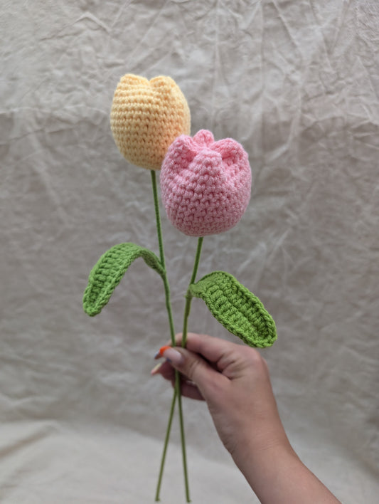 Chunky Tulip