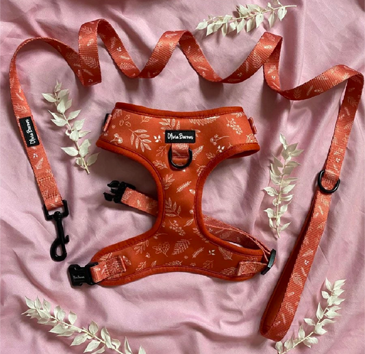 Botanical Garden Harness and Lead Set