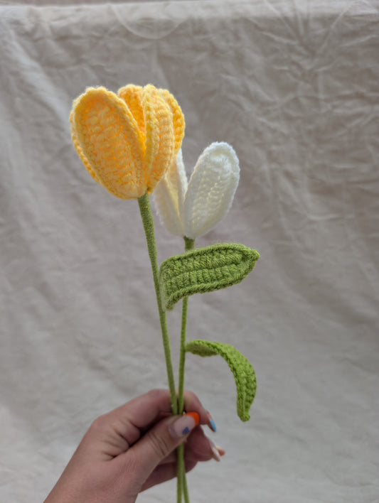 Closed Tulip