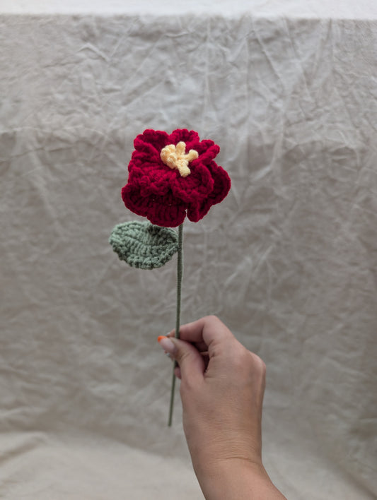 Peony